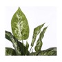 Decorative Plant Mica Decorations Dieffenbachia Dieffenbachia Green PVC (15,7 x 70 cm) by Mica Decorations, Artificial Plants...