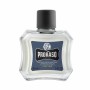 Bálsamo Aftershave Proraso Azur Lime Azur Lime 100 ml de Proraso, Bálsamos - Ref: S8304799, Precio: 13,08 €, Descuento: %