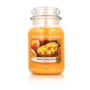 Scented Candle Yankee Candle Mango Peach Salsa 623 g by Yankee Candle, Candles - Ref: S8311385, Price: 25,53 €, Discount: %