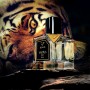 Perfume Unisex Vertus Bengal EDP 100 ml | Tienda24 - Global Online Shop Tienda24.eu