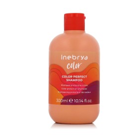 Shampoo Inebrya Ice Cream Pro-Color 300 ml by Inebrya, Shampoos - Ref: S8318466, Price: 7,33 €, Discount: %