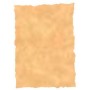 Parchment paper Michel Multicolour Ocre A4 25 Pieces by Michel, Vellum - Ref: S8412831, Price: 11,69 €, Discount: %