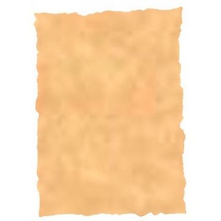 Papel pergaminho Michel Multicolor Ocre A4 25 Peças de Michel, Papel pergaminho - Ref: S8412831, Preço: 11,69 €, Desconto: %