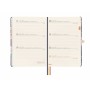 Diary Finocam MINIMAL 11,8 x 16,8 cm 2025 by Finocam, Appointment Books & Planners - Ref: S8437171, Price: 12,66 €, Discount: %