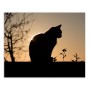 Cuadro Multicolor Gato 100 x 3 x 80 cm de BigBuy Home, Impresiones sobre lienzo - Ref: S8807558, Precio: 20,39 €, Descuento: %