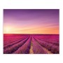 Painting Multicolour 100 x 3 x 80 cm by BigBuy Home, Prints on Canvas - Ref: S8807559, Price: 25,51 €, Discount: %