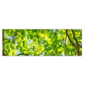 Cadre Vert 180 x 3 x 60 cm de BigBuy Home, Impressions sur toile - Réf : S8807560, Prix : 34,64 €, Remise : %