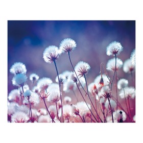 Painting White Purple Pink 100 x 3 x 80 cm by BigBuy Home, Prints on Canvas - Ref: S8807587, Price: 25,51 €, Discount: %