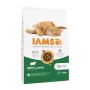 Aliments pour chat IAMS Advanced Nutrition Cat Adult Agneau 10 kg de IAMS, Sèche - Réf : S91099140, Prix : 38,18 €, Remise : %