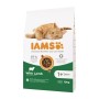 Cat food IAMS Advanced Nutrition Cat Adult Lamb 10 kg by IAMS, Dry - Ref: S91099140, Price: 38,18 €, Discount: %