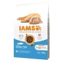 Fodder IAMS Vitality Cat Kitten Ocean Fish Fish 10 kg by IAMS, Dry - Ref: S91099166, Price: 38,05 €, Discount: %