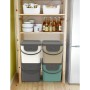 Container Rotho Albula Green 40 L Rectangular by Rotho, Food storage - Ref: S91105014, Price: 20,34 €, Discount: %