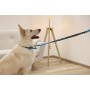 Coleira para Cães Kerbl 80096 Azul Preto Estampado 46 cm 55 cm 45 cm de Kerbl, Coleiras - Ref: S91106743, Preço: 12,03 €, Des...