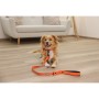 Coleira para Cães Kerbl 80100 Preto Laranja Estampado 45 cm 36 cm de Kerbl, Coleiras - Ref: S91106746, Preço: 11,16 €, Descon...