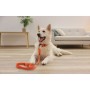 Coleira para Cães Kerbl 80101 Preto Laranja Estampado 46 cm 55 cm de Kerbl, Coleiras - Ref: S91106747, Preço: 11,47 €, Descon...