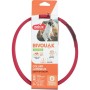 Coleira para Cães Zolux BIVOUAK LED Vermelho 60 cm 30 cm de Zolux, Coleiras - Ref: S91107507, Preço: 11,86 €, Desconto: %