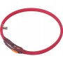 Dog collar Zolux BIVOUAK LED Red 40 cm 20 cm by Zolux, Collars - Ref: S91107511, Price: 7,49 €, Discount: %