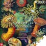 Puzzle Cenega Publishing Ernst Haeckel Criaturas marinas 1000 Stücke von Cenega Publishing, Klassische Puzzles - Ref: S911101...