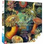 Puzzle Cenega Publishing Ernst Haeckel Criaturas marinas 1000 Stücke von Cenega Publishing, Klassische Puzzles - Ref: S911101...