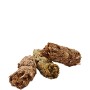 Nourriture Versele-Laga Cavia Cochon d'Inde 1,75 kg | Tienda24 - Global Online Shop Tienda24.eu