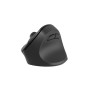 Mouse Natec NMY-2048 Schwarz von Natec, Mäuse - Ref: S9141066, Preis: 19,84 €, Rabatt: %