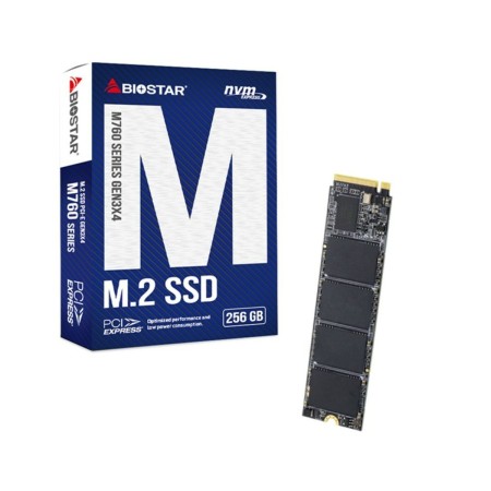 Hard Drive Biostar M760 256 GB SSD by Biostar, Solid disc drives - Ref: S9188196, Price: 24,89 €, Discount: %