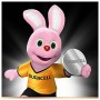 Lithium-Knopfzelle DURACELL Duracell 2450 3 V | Tienda24 - Global Online Shop Tienda24.eu