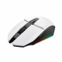 Souris Trust 25069 Blanc de Trust, Souris - Réf : S9908086, Prix : 19,24 €, Remise : %