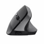 Souris Trust TM-270 Noir de Trust, Souris - Réf : S9908106, Prix : 27,96 €, Remise : %