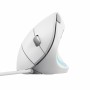 Souris Trust Verto Blanc de Trust, Souris - Réf : S9908108, Prix : 25,57 €, Remise : %