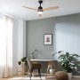 Ceiling Fan with Light Cecotec EnergySilence Aero 5275 Black 18 W 40 W Wood by Cecotec, Ceiling Fans with Lamp - Ref: V170918...