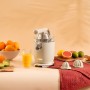 Electric Juicer Cecotec RetroJuice 1000 by Cecotec, Electric Citrus Juicers - Ref: V1709393, Price: 42,98 €, Discount: %