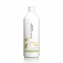 Glättendes Shampoo Matrix 884486130495 | Tienda24 - Global Online Shop Tienda24.eu