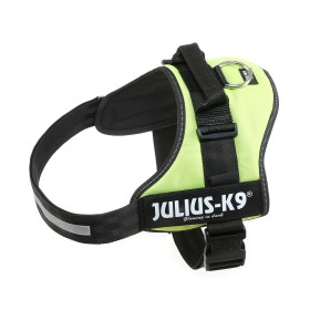 Arnês para Cães Julius K9 Power Vermelho S | Tienda24 - Global Online Shop Tienda24.eu