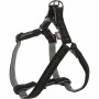 Dog Harness Trixie Confort Softline Black Graphite XS/S | Tienda24 - Global Online Shop Tienda24.eu