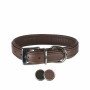 Collier pour Chien Trixie Active Comfort Noir 31-37 cm | Tienda24 - Global Online Shop Tienda24.eu