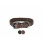 Collier pour Chien Trixie Active Comfort Noir 31-37 cm | Tienda24 - Global Online Shop Tienda24.eu