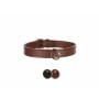 Collier pour Chien Trixie Active Noir XS/S 27-32 cm | Tienda24 - Global Online Shop Tienda24.eu