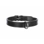 Collier pour Chien Trixie Active Noir 36-43 cm | Tienda24 - Global Online Shop Tienda24.eu