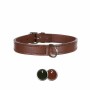 Collier pour Chien Trixie Active Noir 36-43 cm | Tienda24 - Global Online Shop Tienda24.eu