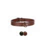 Collier pour Chien Trixie Active Noir 36-43 cm | Tienda24 - Global Online Shop Tienda24.eu