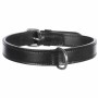 Collar para Perro Trixie Active Negro 36-43 cm | Tienda24 - Global Online Shop Tienda24.eu