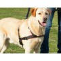 Dog Harness Trixie | Tienda24 - Global Online Shop Tienda24.eu