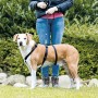 Führgeschirr für Hund Trixie Stay Schwarz XS/S | Tienda24 - Global Online Shop Tienda24.eu