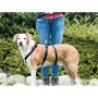 Führgeschirr für Hund Trixie Stay Schwarz XS/S | Tienda24 - Global Online Shop Tienda24.eu