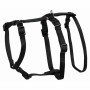 Guide harness for dog Trixie Stay Black XS/S | Tienda24 - Global Online Shop Tienda24.eu