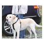 Guinzaglio per Cani Trixie Friends on Tour Nero 30 cm | Tienda24 - Global Online Shop Tienda24.eu