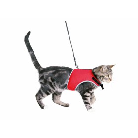 Harnais pour chat Red Dingo Style Turquoise Étoile Sangle | Tienda24 - Global Online Shop Tienda24.eu