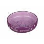 Cat Feeder Trixie | Tienda24 - Global Online Shop Tienda24.eu