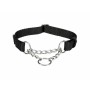 Collar de entrenamiento Trixie New Premium Negro S/M 30-40 cm | Tienda24 - Global Online Shop Tienda24.eu